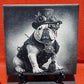 Steampunk Dog - Bulldog Laser engraved coaster/tile