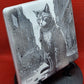 "Street" cat Laser engraved coaster/tile