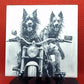 Biker Dogs Laser engraved coaster/tile