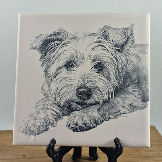 Dog - "Westie" Laser engraved coaster/tile