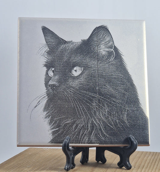 Black Cat Laser engraved coaster/tile