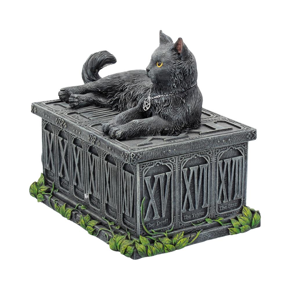 Fortune's Watcher Cat Familiar Tarot Card Box / Trinket Box