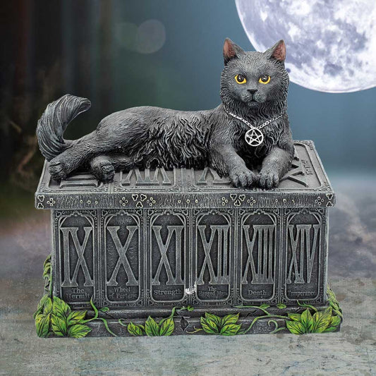 Fortune's Watcher Cat Familiar Tarot Card Box / Trinket Box